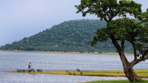 Pakhal Lake History, Images, Resort, Distance)